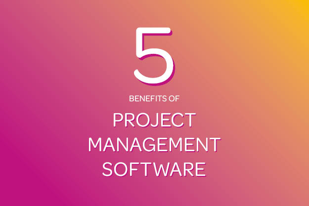 Benefits of Bespoke Project Management Software